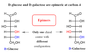 Anomer is also an epimer where configuration is different at the hemiacetal/acetal/ketal carbon in the cyclic form. Epimers And Anomers Chemistry Steps