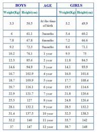 baby weight chart one year old height chart one year old boy