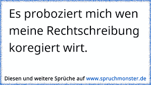 Es Proboziert Mich Wen Meine Rechtschreibung Koregiert Wirt Spruchmonster De