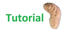 It's best to leave the eggs where their mom lays them so they can hatch naturally. How To Get Mystery Snail Eggs To Hatch Youtube