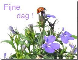 Of je nou christelijk bent of niet, bij fine cooking vianen bereiden wij op deze dag een hemels etentje voor. Hemelvaartsdag Tima Natuurfotografie