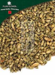 Image result for Huaceae