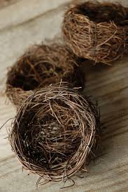 natural vine bird nests bird nest save on crafts diy table decor