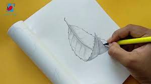 A leaf is a green color organ of a vascular plant and is the principal lateral appendage of the stem. How To Draw A Leaf Easy Leaf Drawing Pencil Sketch Tutorial Youtube