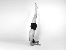 Gymnastics headstand progressions key 3 headstand box shape on a mat, lower forehead to mat to create triangle with hands. How To Pincha Mayurasana Biomechanics Exercises Triyoga