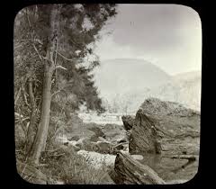 Interwar Camden History Notes