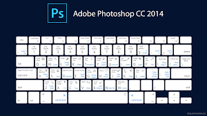 Photoshop Cc 2014 Keyboard Shortcut Cheat Sheet Mac Edition Photoshop Shortcut Photoshop Keyboard