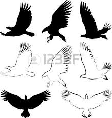 Bird Of Prey Tattoo Designs Silhouette Of Hawk And Eagle Hawk Tattoo Silhouette Tattoos Bird Of Prey Tattoo