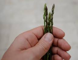 Maybe you would like to learn more about one of these? Wild Asparagus Locations