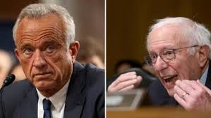 I asked you a simple question, Bobby': Sanders grills RFK Jr