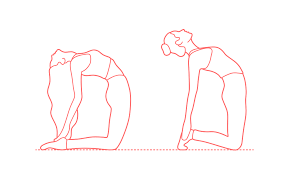 Keeping your thighs over your knees, rotate your thighs in and contract. Camel Pose Ustrasana Dimensions Drawings Dimensions Com