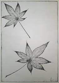 Leaves Two Leaves Maple Leaf Tattoo Leaf Tattoos Flower Tattoo