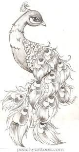 Pin By Emrahdolunay On Tattoo Peacock Tattoo Art Drawings Sketches