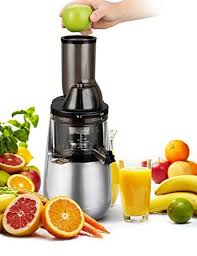 Masticating Juicer With Low Speed Technology For Retaining Nurtients Masticating Juicer 250watt Quietly Motor Juicer Masticating Juicers Fruits Vegetables