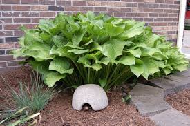 Good housekeeping's gardening advice can help you plan the perfect garden for every budget and plot size. Hypertufa Toad House Handmade Garden Art Frog House Toad Abode Frost Proof Outdoor Sculpture Garden Gift 4 Sizes Singles And Sets