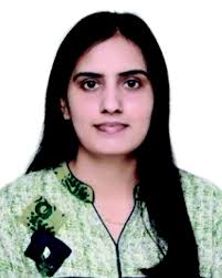 Visible light photocatalysis in the synthesis of pharmaceutically relevant  heterocyclic scaffolds