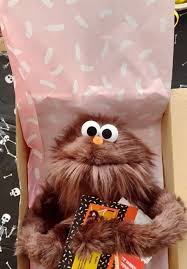 Spooky Adoption Day Preparations for Peanut