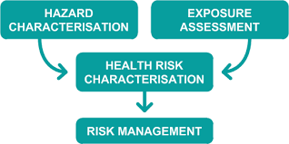 Exposure assessment is the third step of a human health risk assessment. Risk Assessment Environmental Health Thl