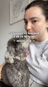 As your pet transitions to their senior years, their level of care may  change. Even some simple swaps around the house can make their finals years  more joyful., Seniors dogs tend to need fewer ...