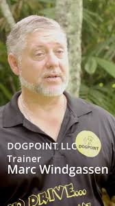 PLEASE SHARE, 🎆✨ While fireworks light up the sky, our animals suffer in  silence. Loud explosions leave countless pets terrified, lost, or injured  every holiday season.💙🐾, 👉 You can help:, • Keep pets ...