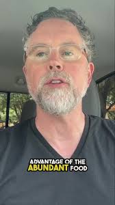 Best Places to Eat in Kyle Texas