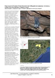 27 july 2016 sukma games: Pdf First Record Of Lesser False Vampire Bat Megaderma Spasma Linnaeus 1758 From Sundergarh Odisha India Himanshu Shekhar Palei Academia Edu