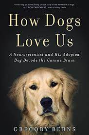 How Dogs Love Us A Neuroscientist And His Adopted Dog Decode The Canine Brain Berns Gregory 9780544114517 Amazon Com Books