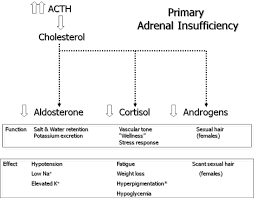 Case Based Pediatrics Chapter