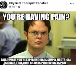 This video is about telling ridiculous jokes to make you laugh all related to physical therapy. Physical Therapy Memes Christmas