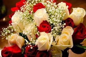 Le rose, quindi, sono tra i fiori più adatti da regalare per il compleanno. Fiori Compleanno Regalare Fiori Quali Fiori Scegliere Per Il Compleanno
