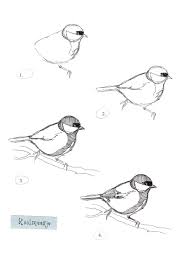 Natuur Tekenlesje Flow Magazine Nl Vogels Tekenen Dieren Tekenen Een Vogel Tekenen