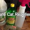 Citronella oil is a natural flea repellent, and making a mixture out of this and other oils will be sure to keep the pests at bay. 3