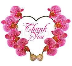 Family owned and operated since 1928. Beautiful Orchid Flower In Heart Shape Stock Image Colourbox