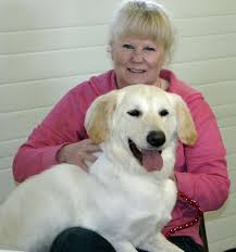 English cream golden retriever puppies wisconsin for sale family raised. Driftless Humane Society Holds Open House Lacrossetribune Com