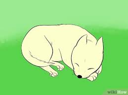 Check spelling or type a new query. 6 Ways To Draw A Cartoon Dog Wikihow
