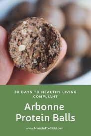Easy Chocolate Protein Balls Mama In The Midst Recipe Arbonne Recipes Arbonne Protein Protein Balls Recipes