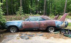 160 Birds Bees In The Weeds Trees Ideas Abandoned Cars Barn Find Cars Car Barn