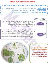العلوم المتكاملة ملخص دورة حياة النباتات للصف الخامس ملفاتي
