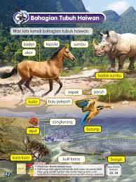 Buku Teks Sains Tahun 1 Sk Pages 51 100 Flip Pdf Download Fliphtml5