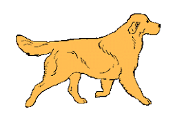 Gif Animados Gif Animado De Animales Perros Nº 11 Animated Animals Cartoon Golden Retriever Crazy Dog Lady