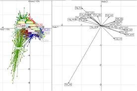 Image result for Eminia antennulifera