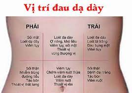 Check spelling or type a new query. Ä'au Dáº¡ Day La Gi Triá»‡u Chá»©ng Nguyen Nhan Va Ä'iá»u Trá»‹ Ä'au Bao Tá»­ Xuáº¥t Báº£n Thong Tin