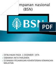 Bsn Pdf