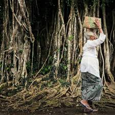 Heritage area including human works of a group of earth nature and human works, area that including ancient area that valuable in the point of historical, aesthesis, ethnological or anthropological view. Heritage Culture In Malaysia Experience Travel Group