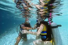 First, you'll take an online course that will cost somewhere around $185. 6 Of The World S Cheapest Places To Get Scuba Certified
