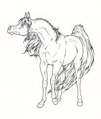 Find more arabian horse coloring page pictures from our search. Arabian Horse Lineart By Requay On Deviantart Horse Coloring Pages Horse Pictures To Print Horse Coloring