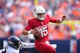 Arizona Cardinals make another big offseason announcement