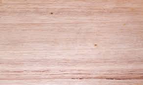 We did not find results for: Rustic Light Wooden Background 1906920 Stock Photo At Vecteezy