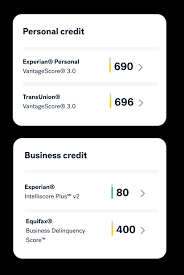 Business Credit Scores & Reports | Nav