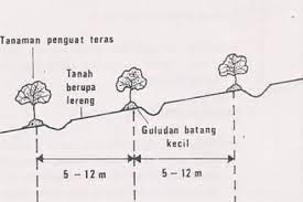 Teras Bebasbanjir2015